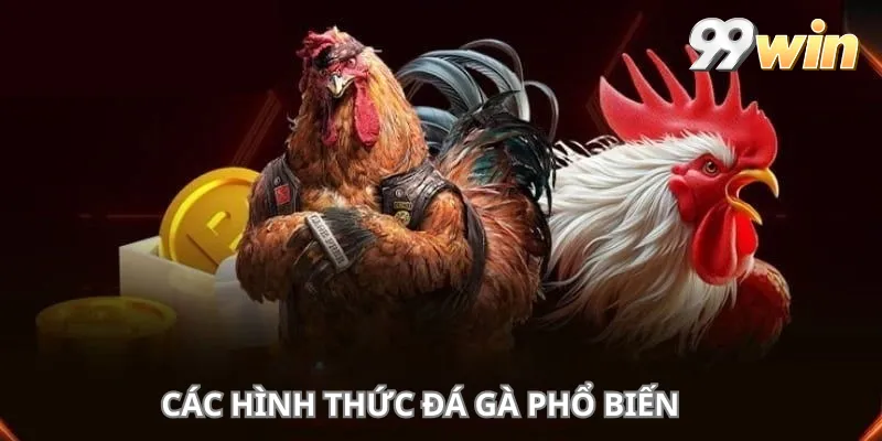 Các hình thức đá gà phổ biến