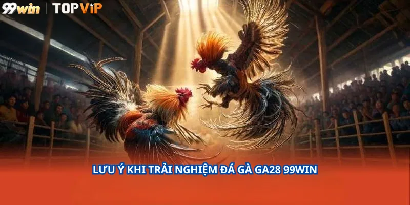 Lưu Ý Khi Trải Nghiệm Đá Gà GA28 99Win