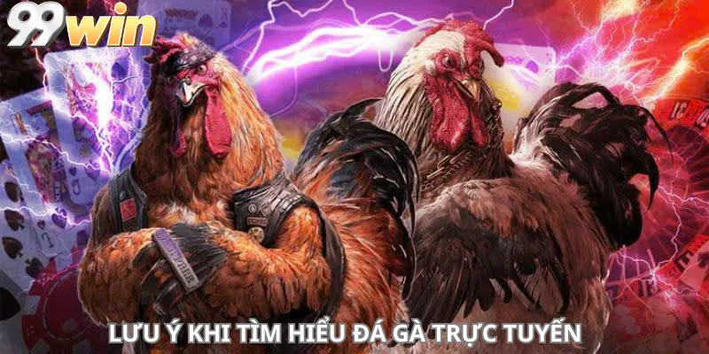 Lưu ý khi tìm hiểu đá gà trực tuyến